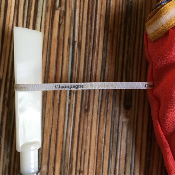 Anthropologie Champagne & Strawberry Dress Womens - Picture 11 of 16